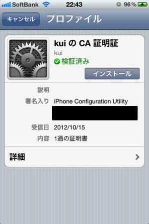 参考画像: インストール後の iPhone の画面
